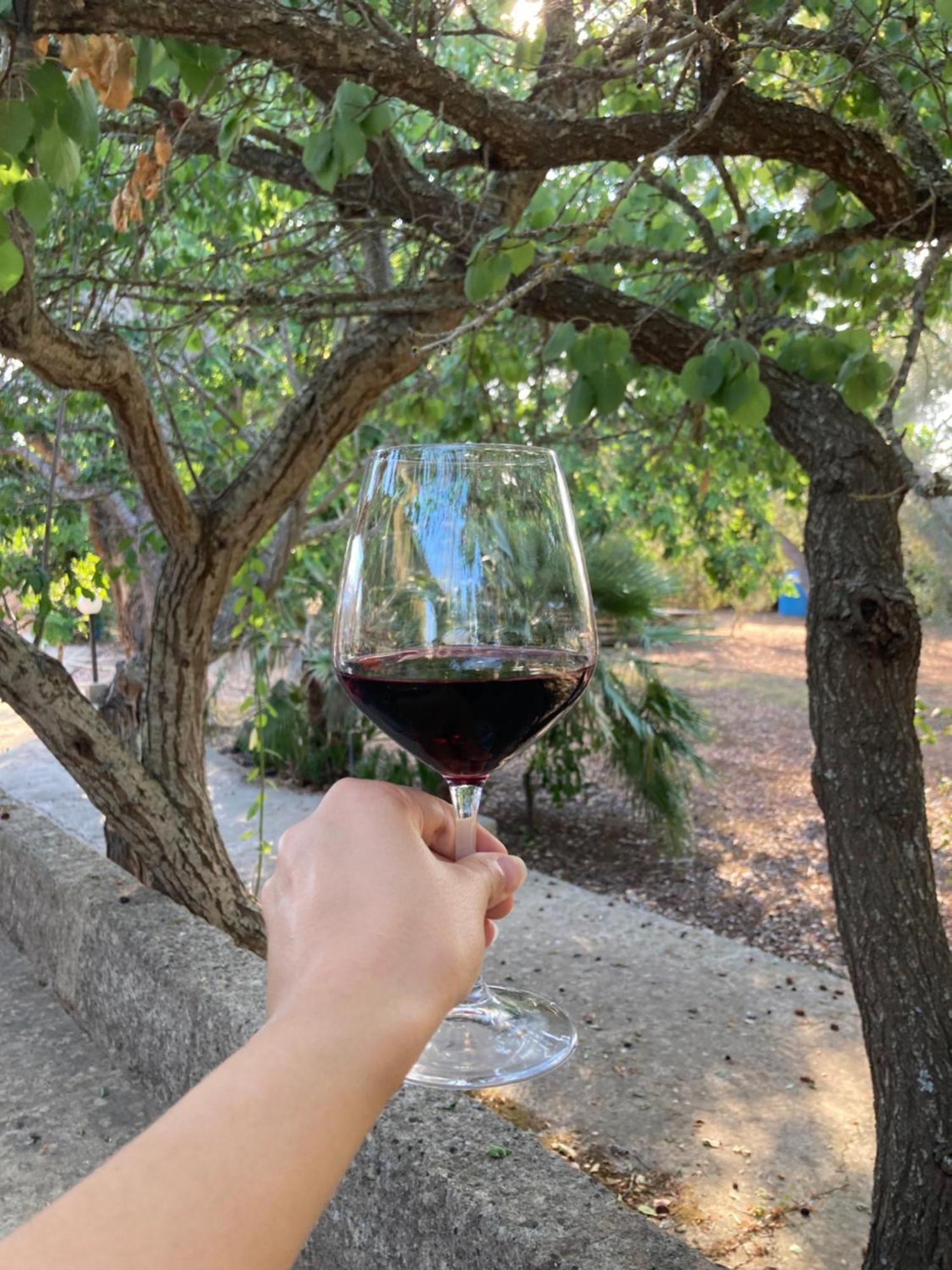 Agriturismo Salento Pietralata Andrano Ngoại thất bức ảnh