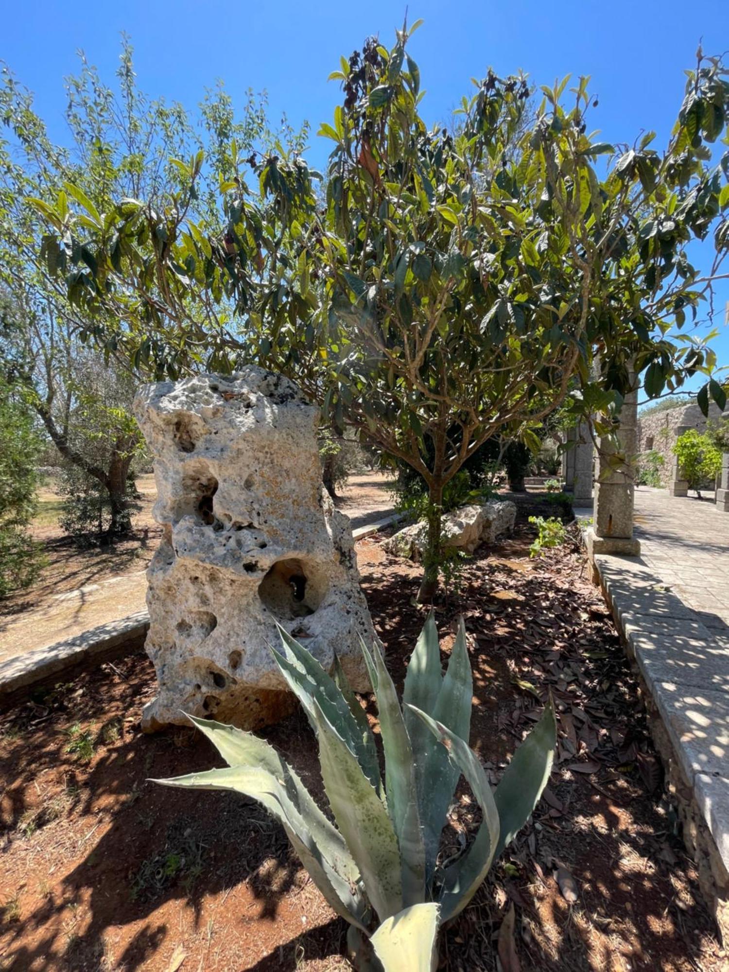 Agriturismo Salento Pietralata Andrano Ngoại thất bức ảnh